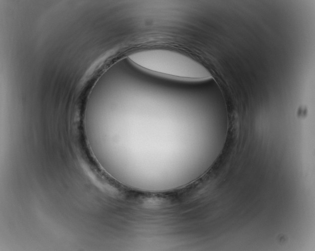 X0000116010400200911191242