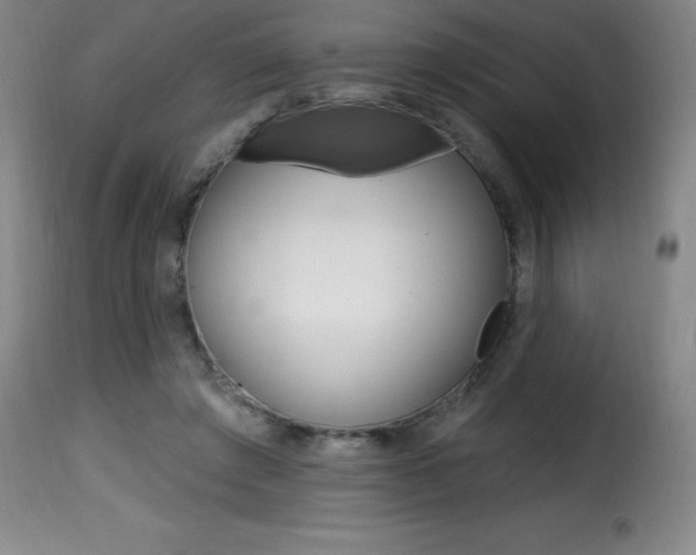 X0000116010401200911191242