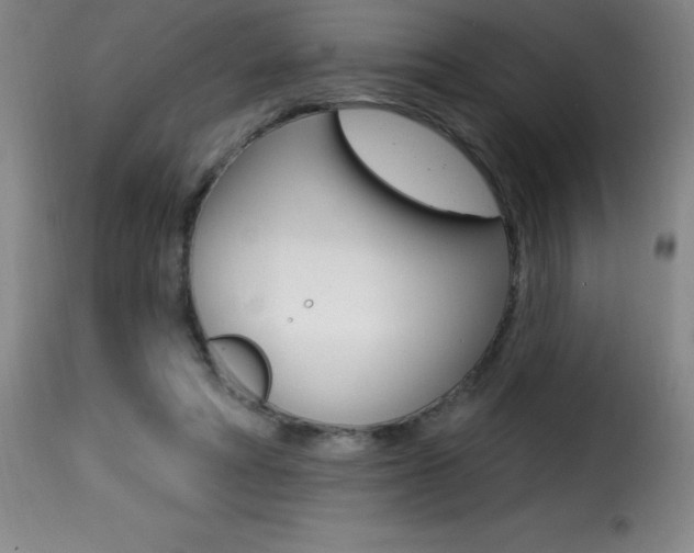X0000116010402200911191242
