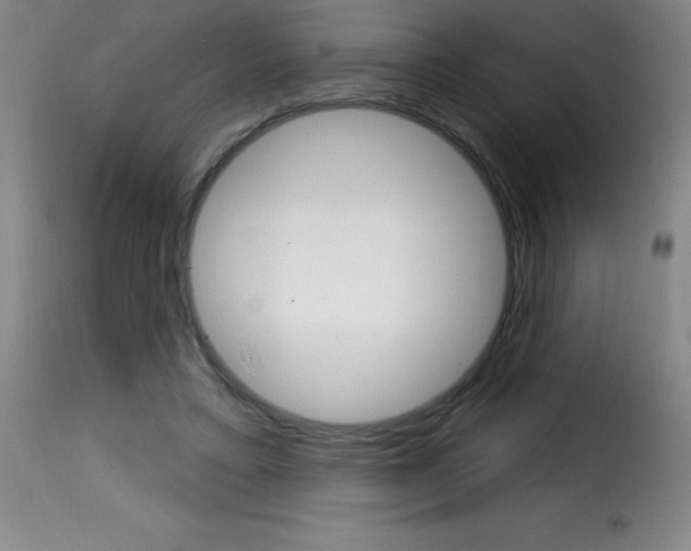 X0000116010403200911191242