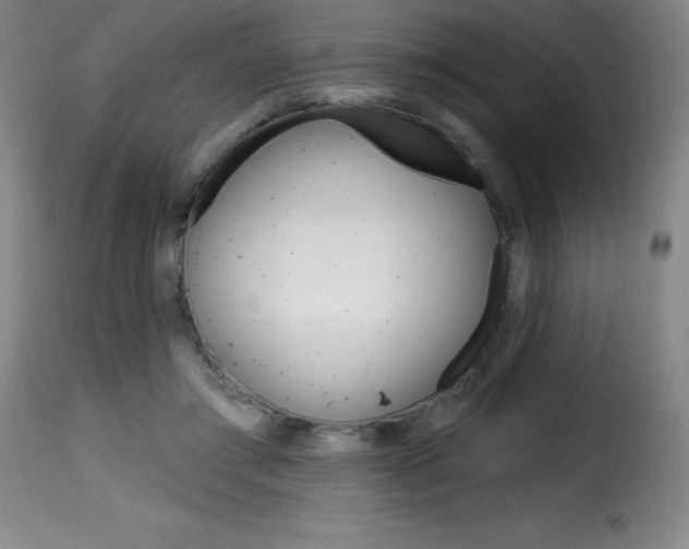 X0000116010405200911191242