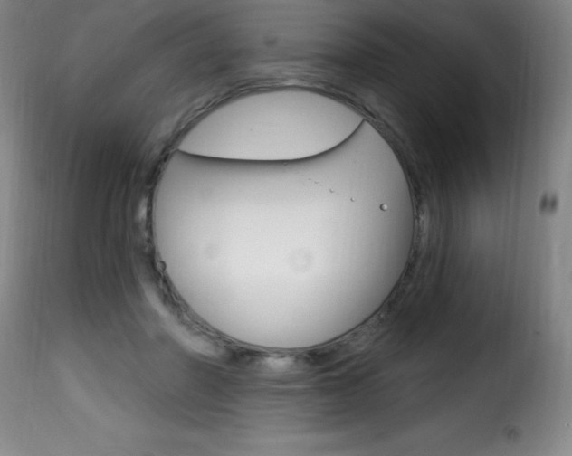 X0000116010406200911191242