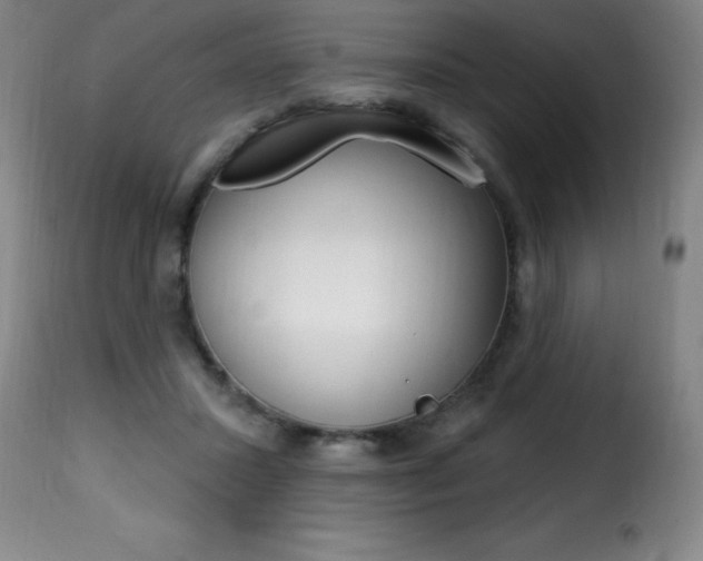 X0000116010407200911191242