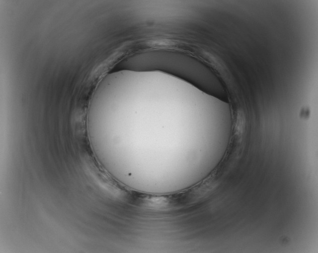 X0000116010409200911191242