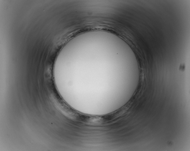 X0000116010410200911191242
