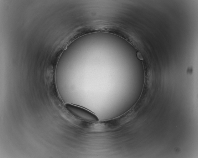 X0000116010413200911191242