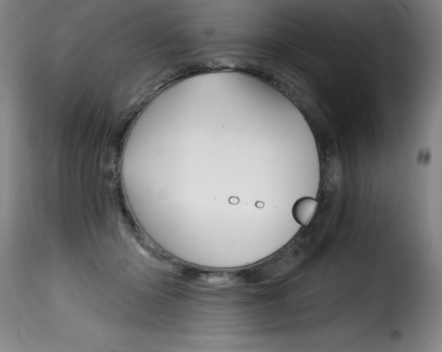 X0000116010414200911191242