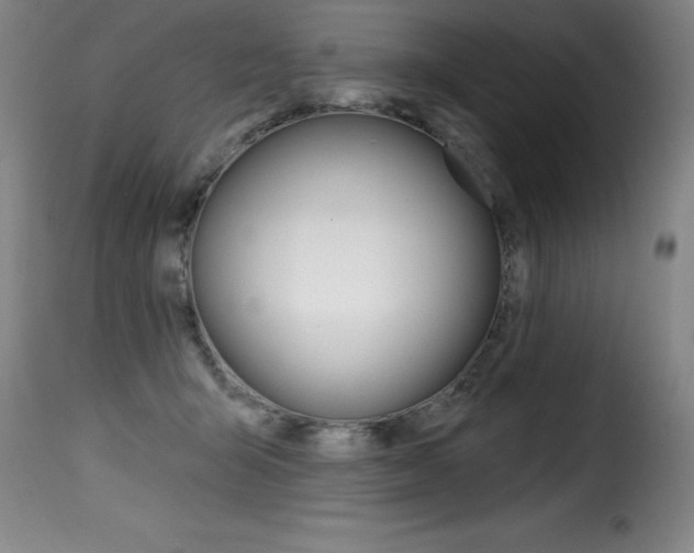 X0000116010415200911191242
