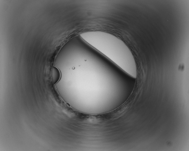 X0000116010416200911191242