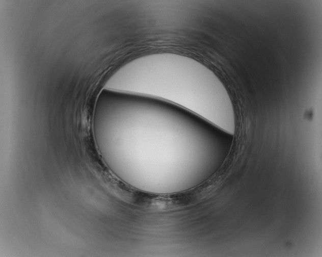 X0000116010420200911191242