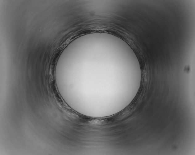 X0000116010422200911191242