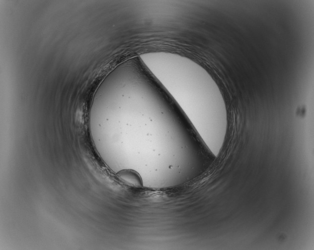 X0000116010424200911191242