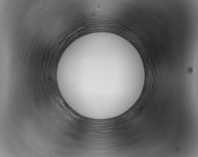 X0000116010425200911191242