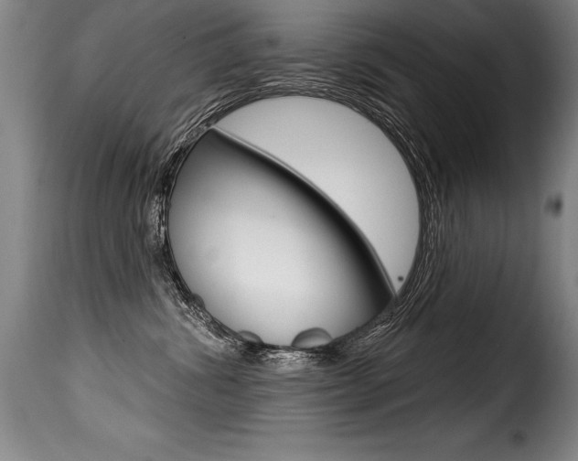 X0000116010428200911191242