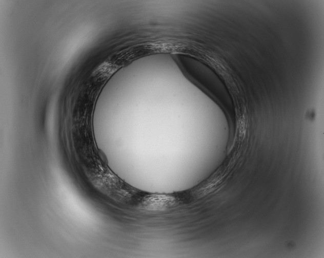 X0000116010429200911191242