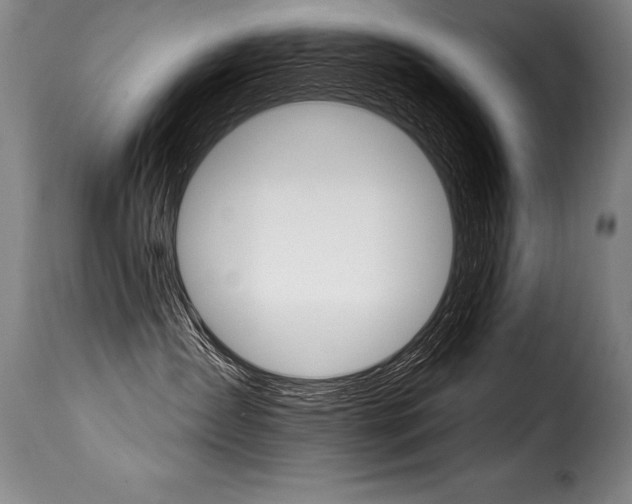 X0000116010431200911191242