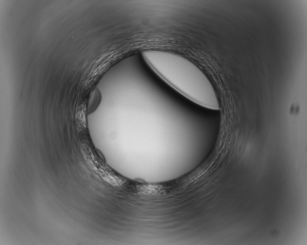 X0000116010432200911191242