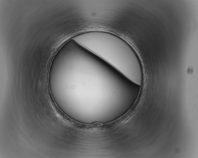 X0000116010433200911191241