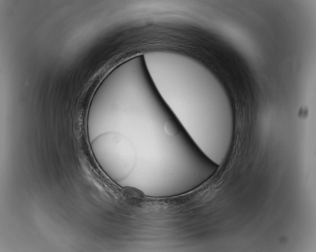 X0000116010435200911191241
