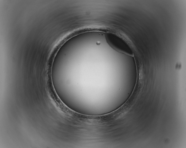 X0000116010436200911191241