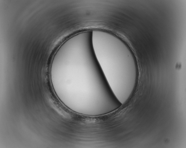 X0000116010439200911191241