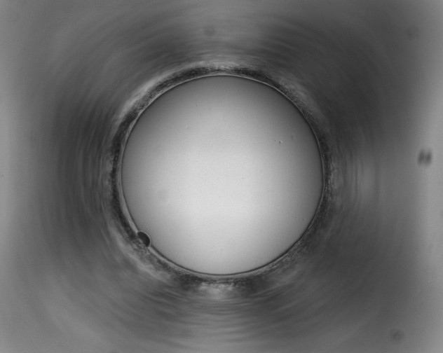 X0000116010440200911191241