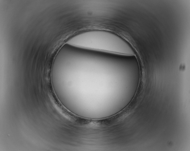 X0000116010441200911191241