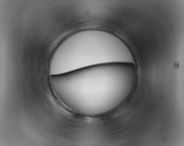 X0000116010442200911191241