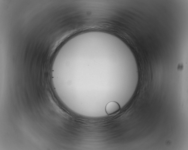 X0000116010444200911191241