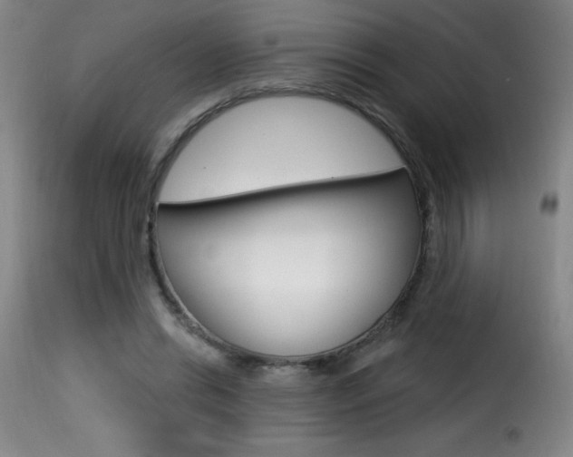X0000116010446200911191241