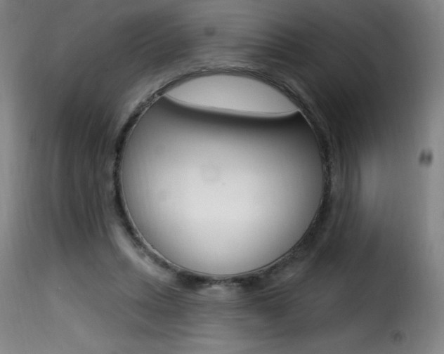 X0000116010447200911191241
