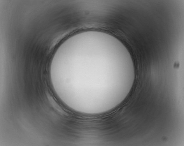 X0000116010448200911191241