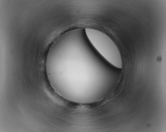 X0000116010451200911191241