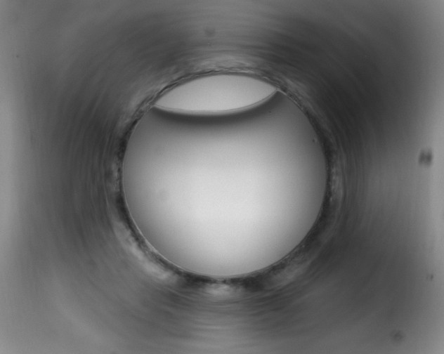 X0000116010453200911191242