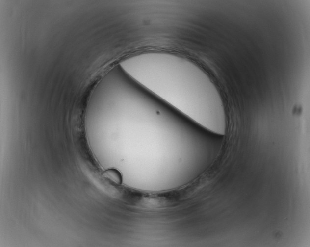 X0000116010455200911191242