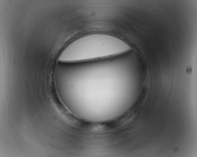 X0000116010456200911191242