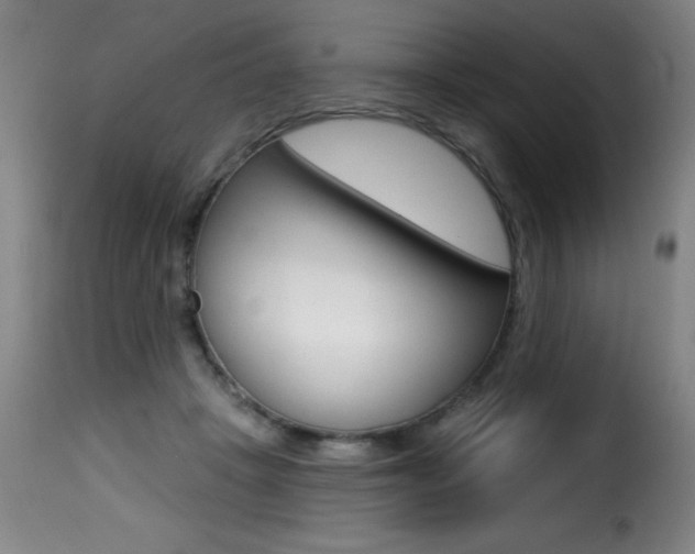 X0000116010457200911191242