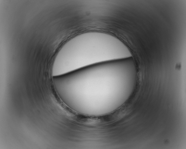 X0000116010458200911191242