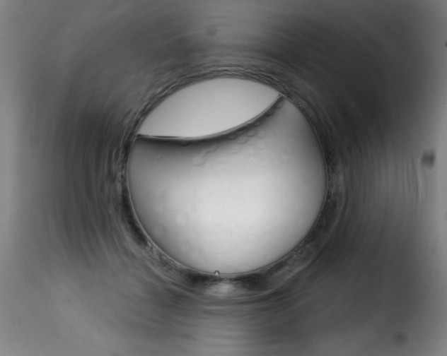 X0000116010460200911191242