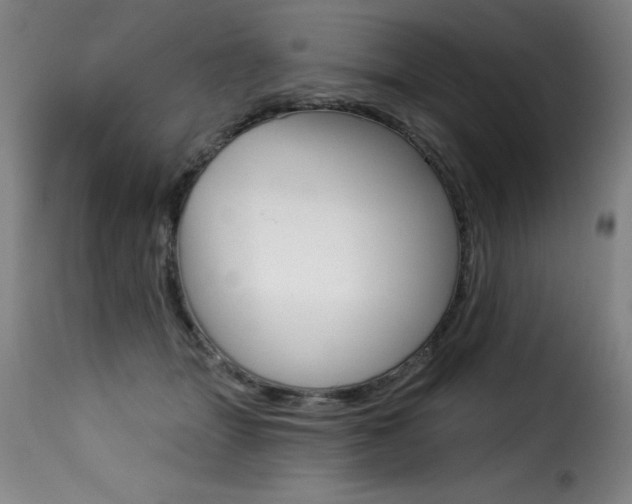 X0000116010463200911191242
