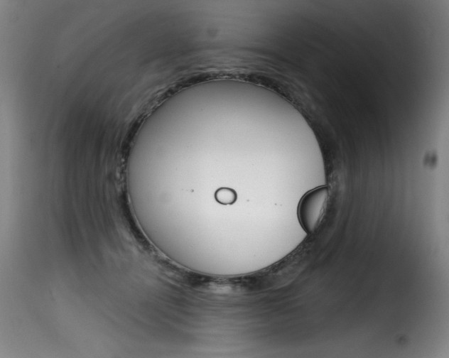 X0000116010464200911191242