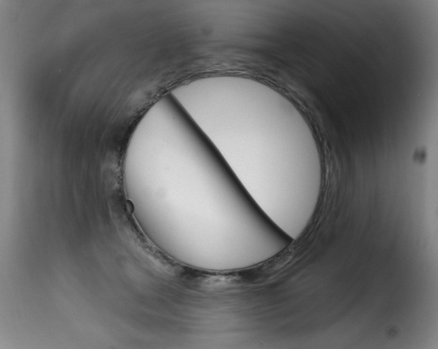 X0000116010465200911191242