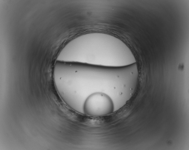 X0000116010466200911191242