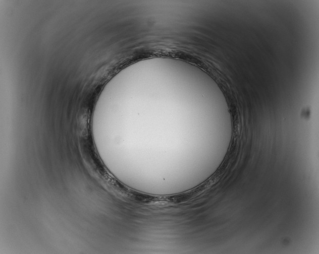 X0000116010468200911191242