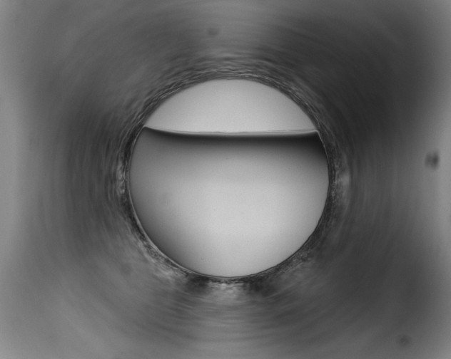 X0000116010469200911191242