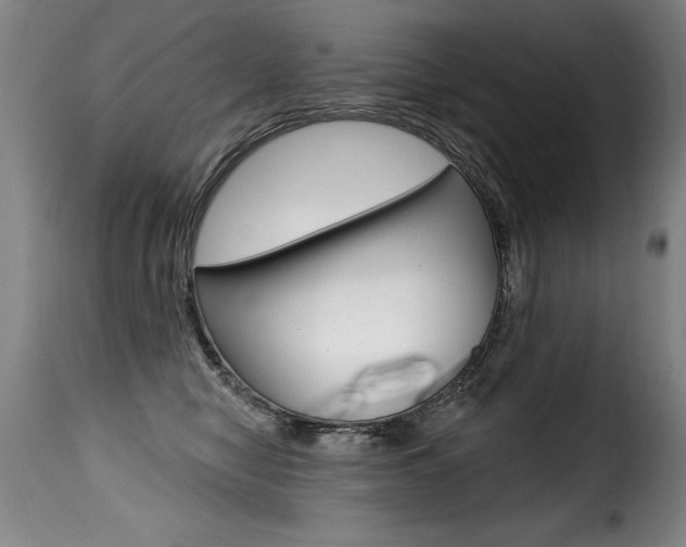 X0000116010470200911191242