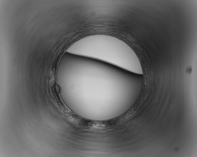 X0000116010471200911191242