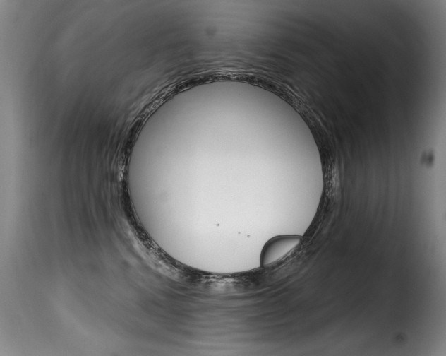 X0000116010472200911191242