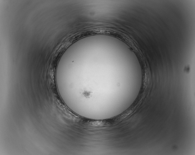 X0000116010473200911191242