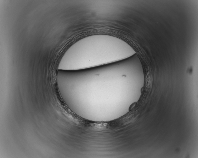 X0000116010474200911191242
